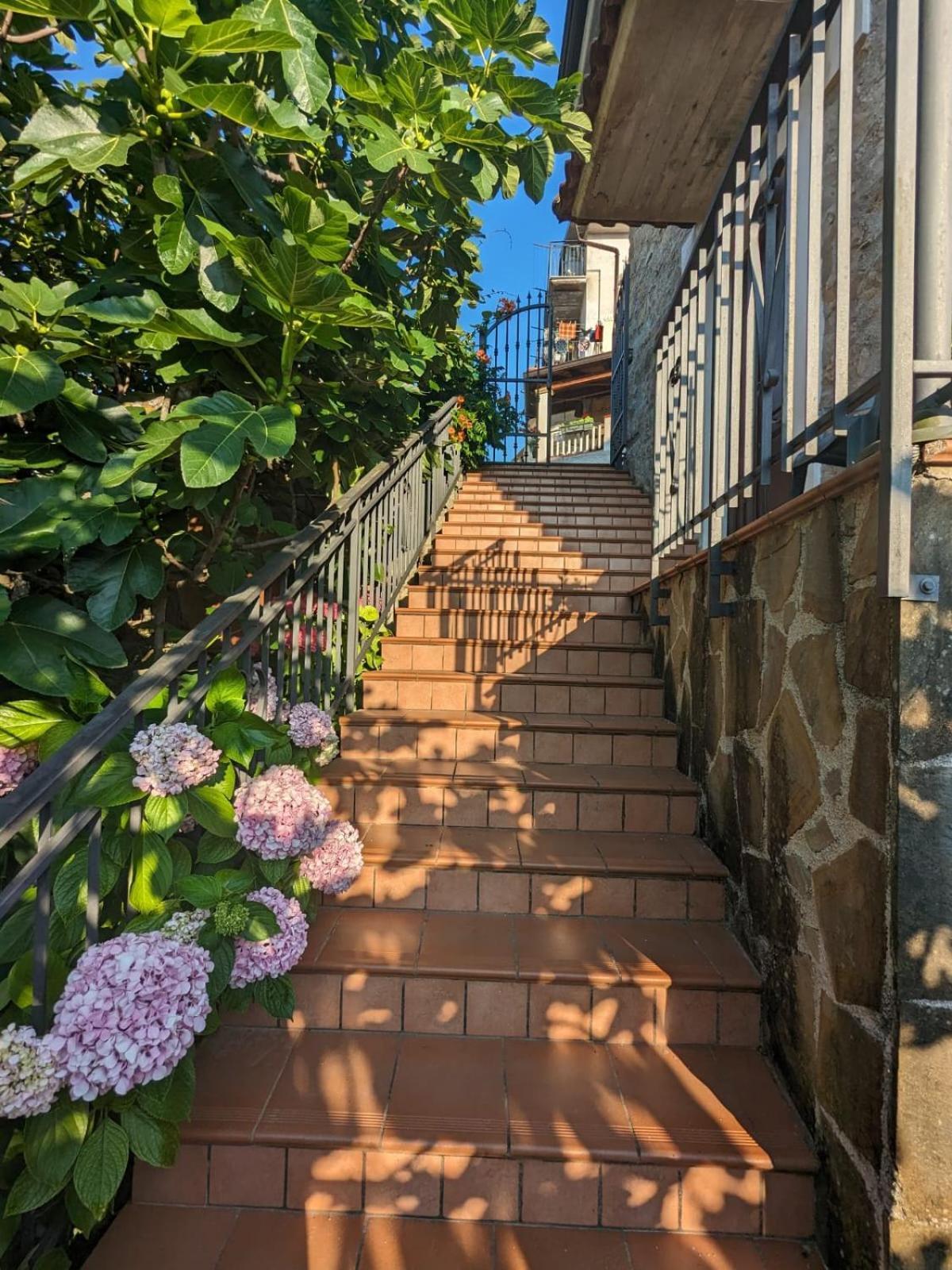 La Casa Di Lidia Bed and Breakfast Cardile Esterno foto