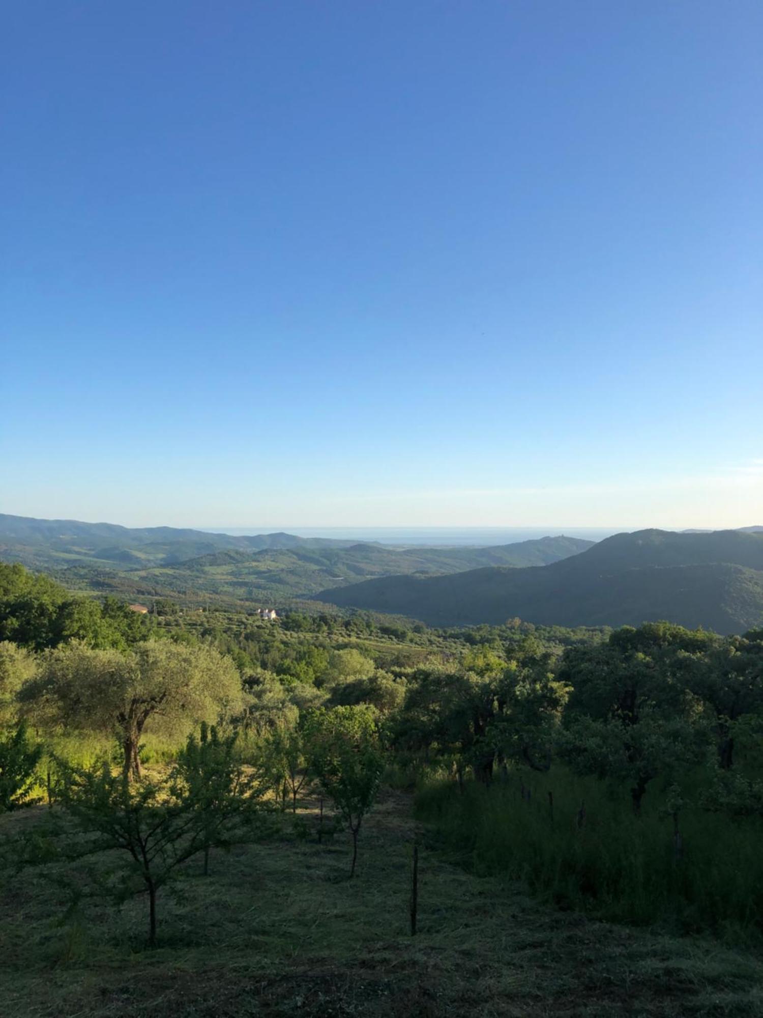 La Casa Di Lidia Bed and Breakfast Cardile Esterno foto